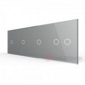 BB-C7-C1/C1/C1/C2-15 Панель для четырех сенсорных выключателей Livolo, 5 клавиш (1+1+1+2), цвет серый, стекло