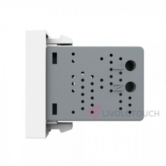 BB-C7-1USB-11  USB    2.1 5 Livolo,   ()