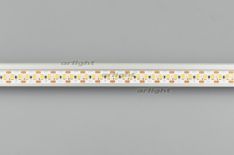  RT 2-5000 24V Cx2 White6000 10mm (2835, 168 LED/m, LUX) (arlight, 17 /, IP20)