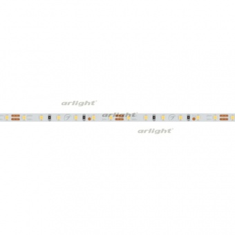  MICROLED-5000 24V White6000 4mm (2216, 120 LED/m, LUX) (arlight, 9.6 /, IP20)