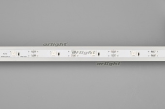  RT-5000-6060LENS-20-12V Day4000 (10mm, 10W/m, IP20) (arlight, )