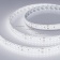  RTW 2-5000SE 24V White 2x2 (3528, 1200 LED, LUX) (arlight, 19.2 /, IP65)