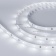  ULTRA-5000 12V White6000 (5630, 150 LED, LUX) (arlight, 12 /, IP20)
