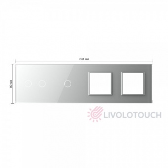 BB-C7-C2/C1/SR/SR-15 Панель для 2-х сенсорных выключателей и 2-х розеток Livolo, 3 клавиши (2+1), цвет серый, стекло