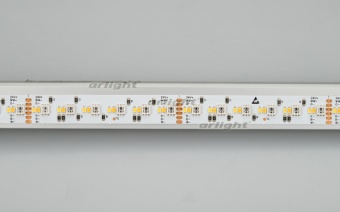  RT-5000-3838-2216-288-24V RGBW-MIX (12mm, 19.2W, IP20) (arlight, 19.2 /, IP20)