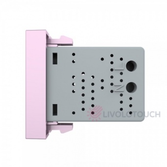 BB-C7-1USB-17 Розетка USB с блоком питания 2.1А 5В Livolo, цвет розовый (механизм)