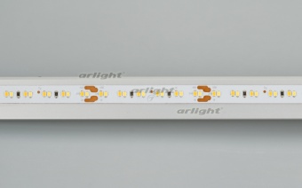  MICROLED-5000 24V White-CDW 8mm (2216, 240 LED/m, Bipolar) (arlight, 9.6 /, IP20)
